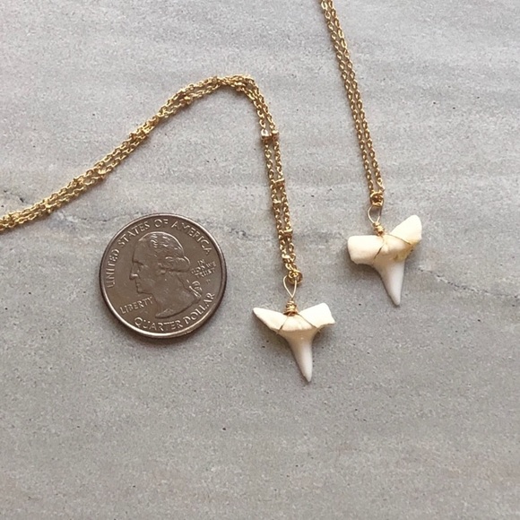 ❗️LAST❗️Dainty Shark Tooth Necklace - Picture 6 of 6